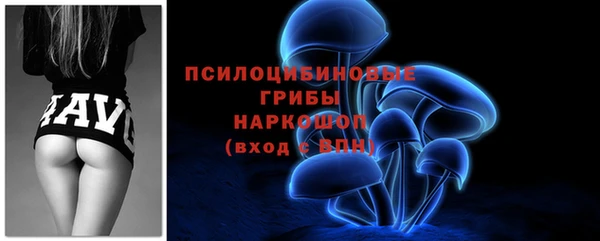 спиды Володарск