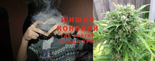 индика Верхний Тагил
