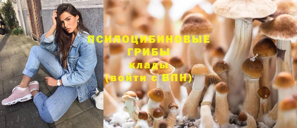 тгк Волоколамск