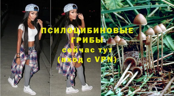 спиды Володарск